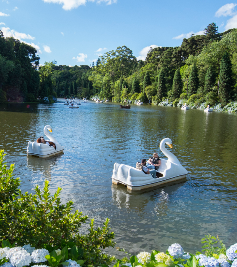 Hard Rock Hotel & Vacation Club Gramado redefine o turismo de luxo no Brasil com modelo pioneiro de branded residence e âncora de entretenimento
