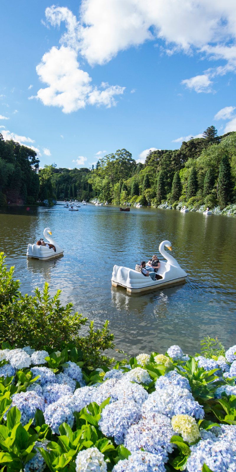 Gastronomia de Gramado